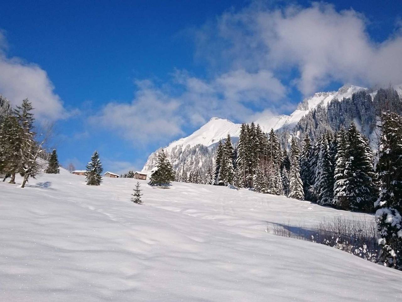 Ganze Wohnung, Mein Elternhaus - Bio-Ferienwohnung I 1 in Au, Bregenzerwald
