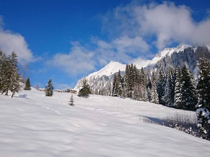 Ganze Wohnung, Mein Elternhaus - Bio-Ferienwohnung I 1 in Bregenzerwald (Vorarlberg), Au