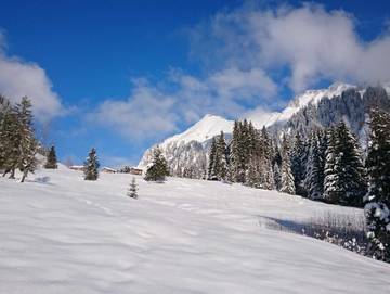 Hütte für 2 Personen in Au, Lechquellengebirge, Bild 4