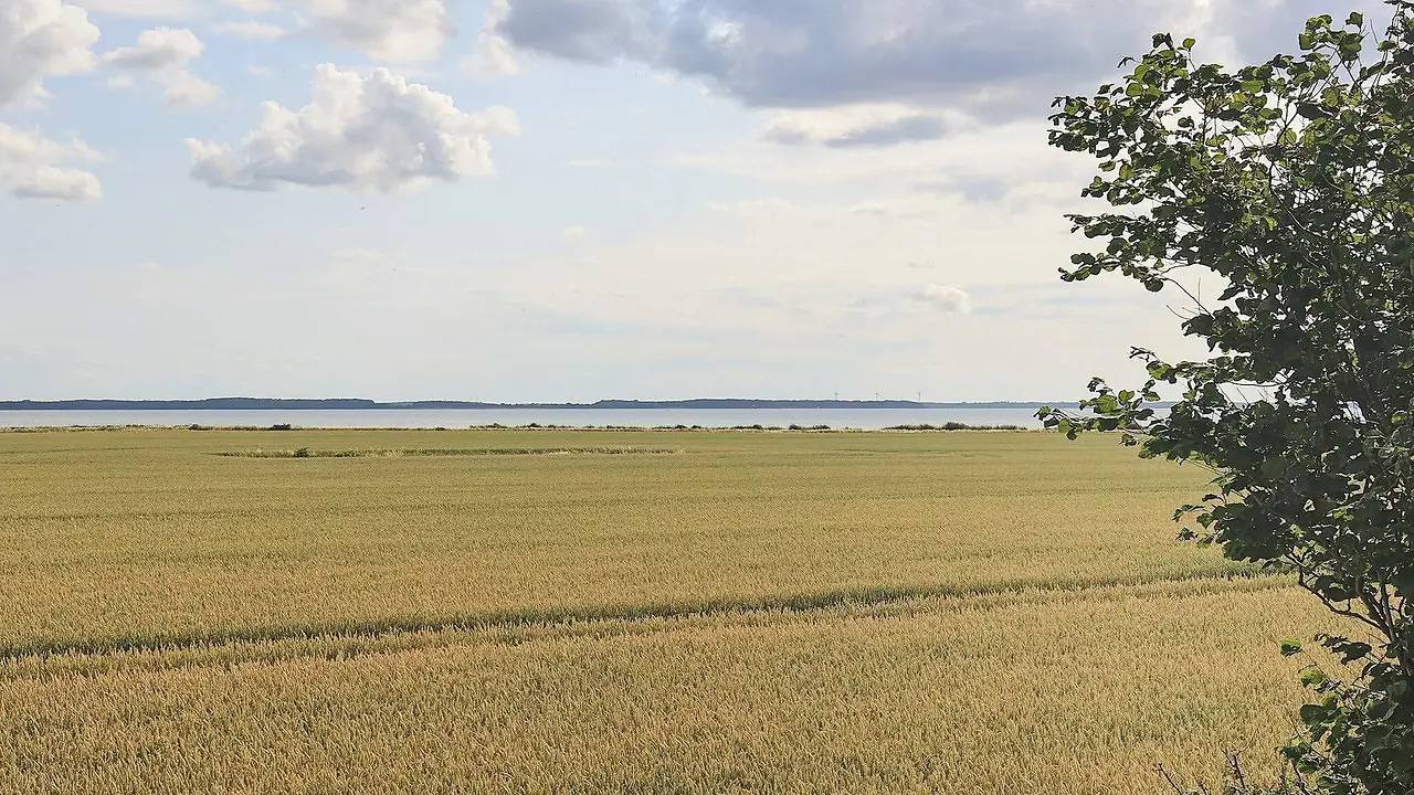 Vacation house for 7 people with terrace in Swedish Baltic Sea