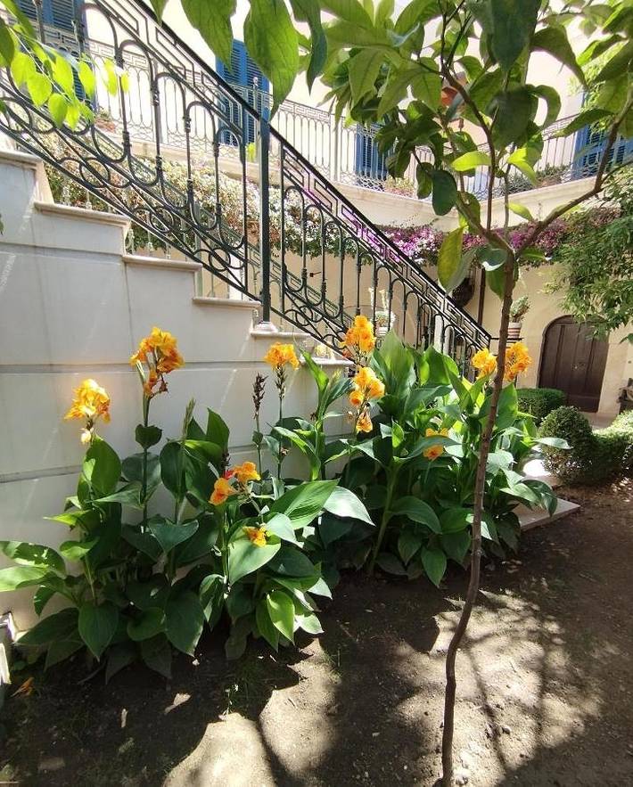 Location de vacances pour 5 personnes, avec jardin à Canosa di Puglia - 4