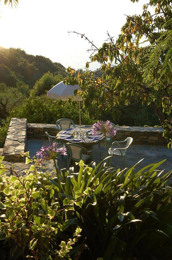 Location de vacances pour 6 personnes, avec Balcon ainsi que Terrasse et Vue à Canari - 2