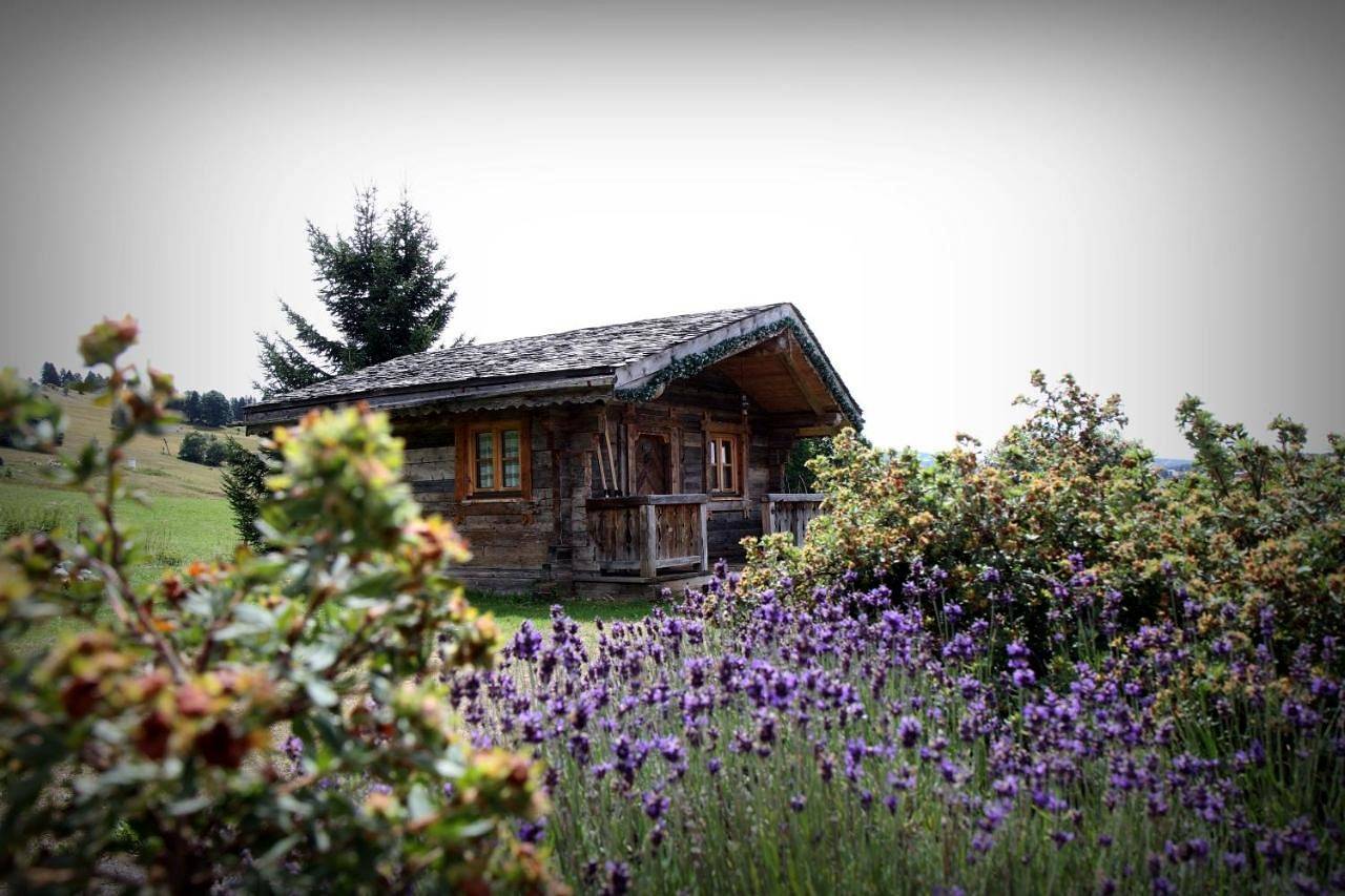 Suite in Les Rousses, Parc naturel régional du Haut-Jura