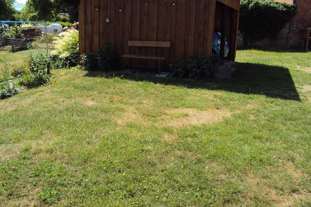 Entire apartment, Vacation apartment Am Priepertsee - Holiday apartment Am Priepertsee in Priepert, Mecklenburg-Strelitz