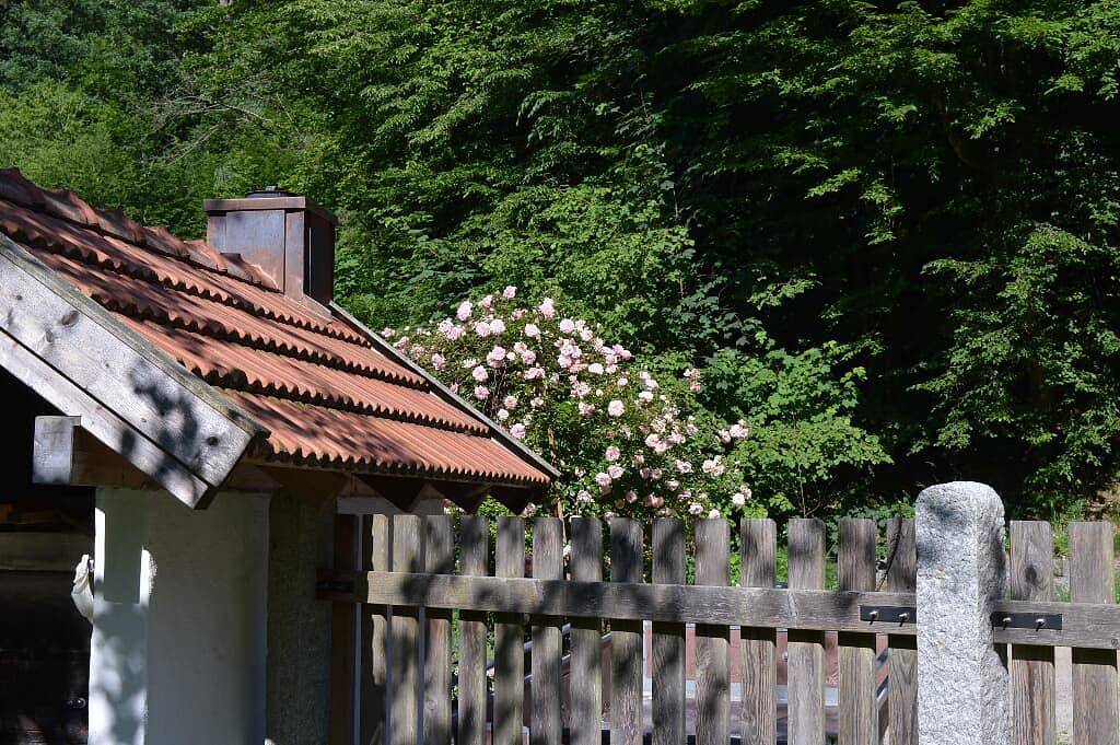 Forsthaus Heilsberg - Ferienwohnung Forsthaus Heilsberg mit zwei Schlafzimmern in Wiesent, Ostbayern