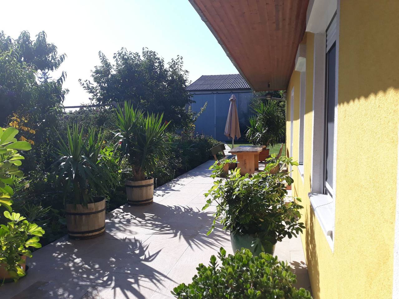 Ganze Wohnung, 3 in Sankt Andrä am Zicksee, Neusiedlersee-Hügelland