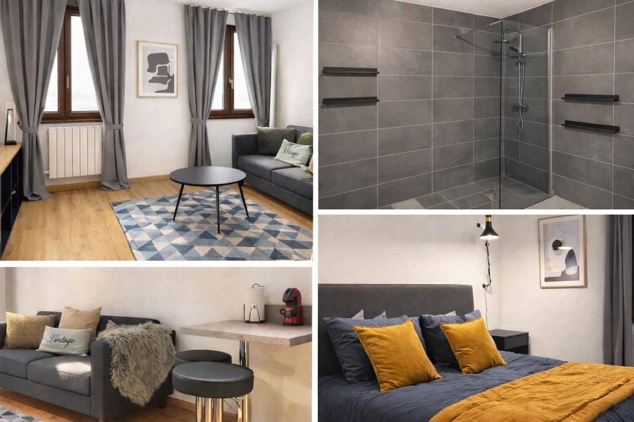 Appartement entier, Élégant F2 luxueux proche Suisse in Delle, Massif du Jura