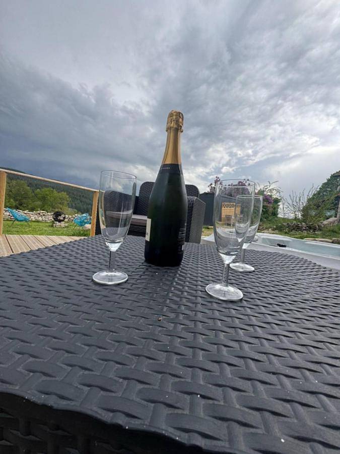 Location de vacances pour 15 personnes, avec jacuzzi et jardin ainsi que sauna et terrasse, animaux acceptés à Vollore-Montagne - 3