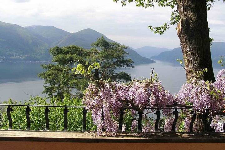 Villa auf einem Hügel mit grandiosem Blick auf Lago Maggiore in Ronco sopra Ascona, Tessiner Alpen