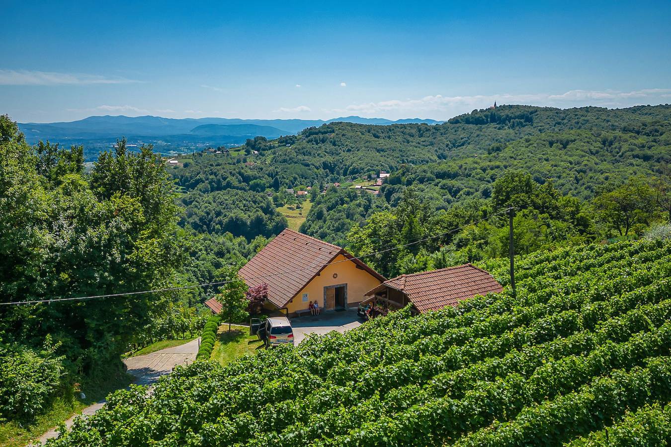 Vineyard Cottage Ucman in Neustadtl, Slowenien