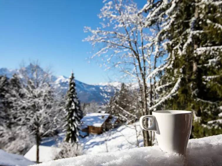 Chalet 8 Personen in Gryon, Alpes Vaudoises