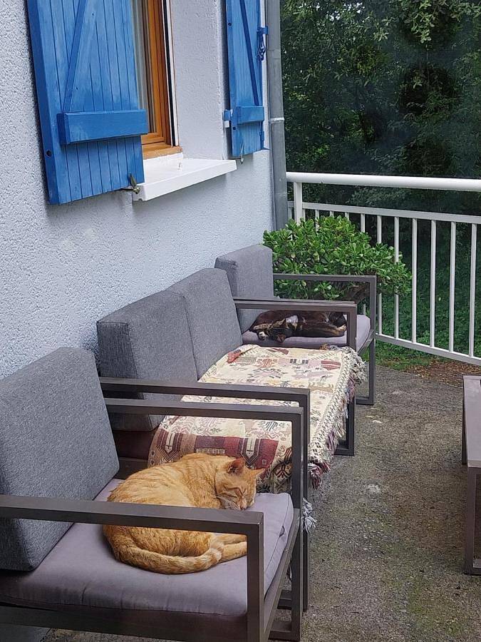 Gîte pour 4 personnes, avec terrasse et vue à Lasseube - 4