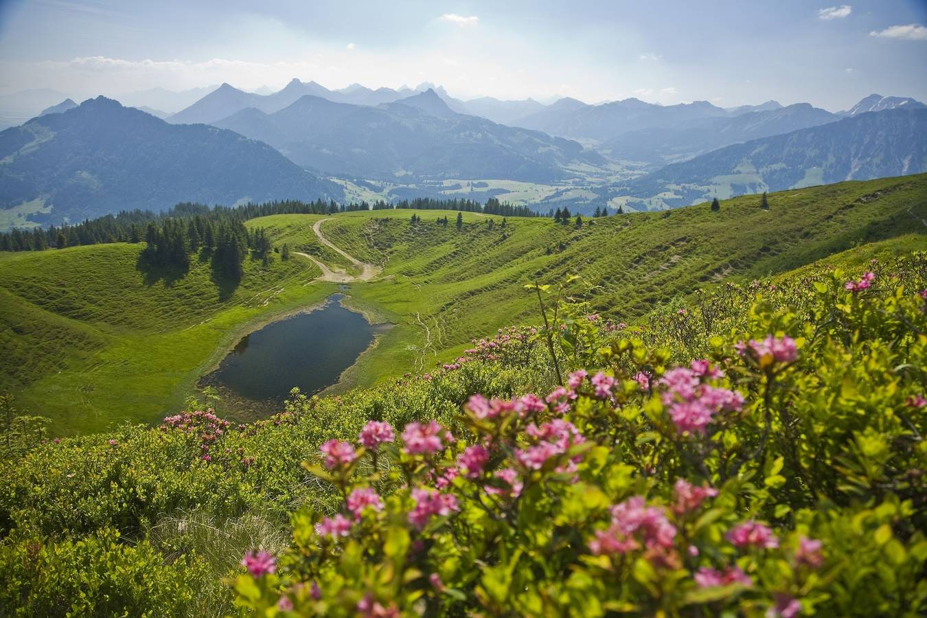 Ferienwohnung Heublume, Ferienhof Lochbihler, Wertach/Allgäu, foto 6
