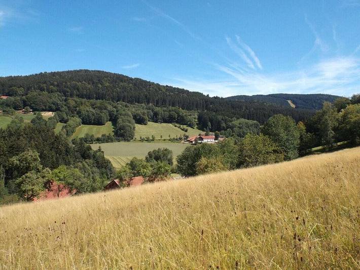 Bauernhof für 6 Personen, mit Terrasse und Garten in Sankt Englmar