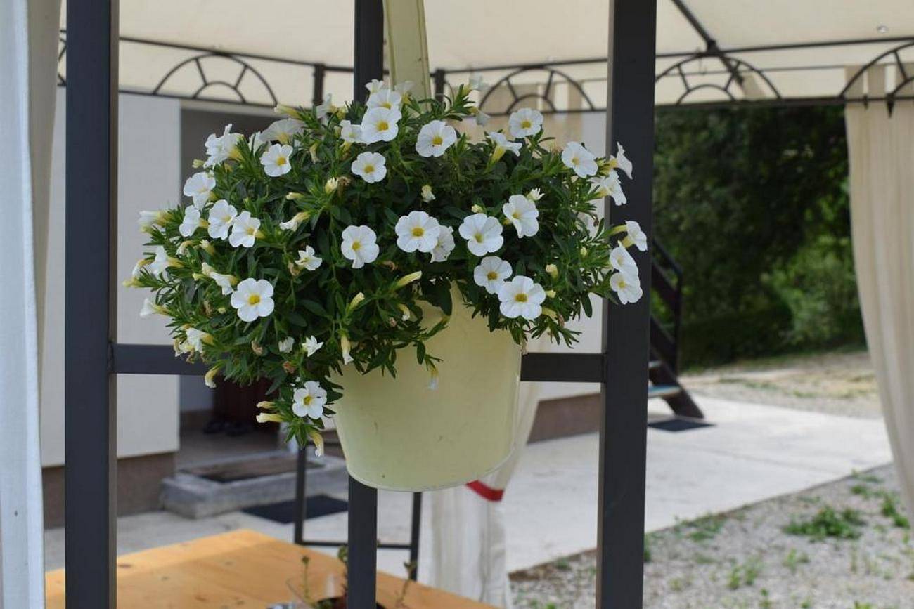 Ganze Wohnung, 1-Zimmer-Ferienwohnung mit Terrasse Tuheljske Toplice, Zagorje A-24875-a in Tuheljske Toplice, Krapina-Zagorje