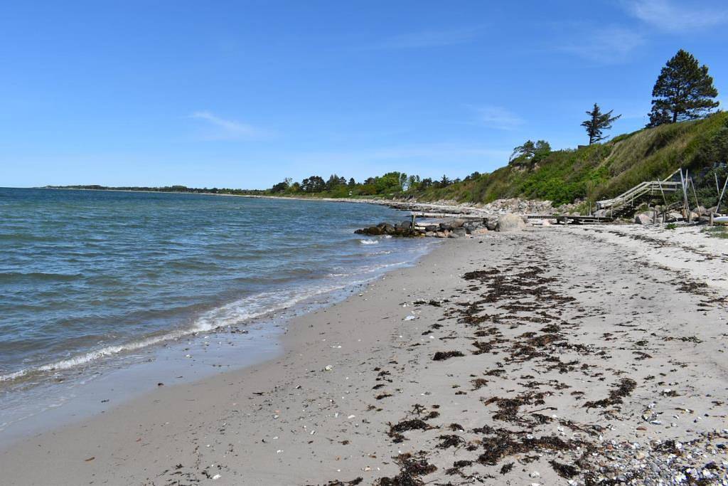 Knusse en goed ingerichte vakantiewoning in het natuurrijke Bogensø bij Kerteminde in Martofte, Kerteminde en omgeving