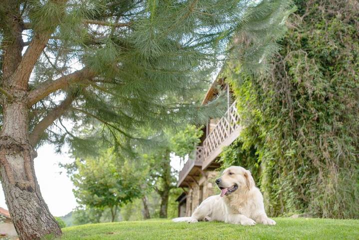 Gîte pour 3 personnes, avec jardin ainsi que vue et piscine dans Castro Daire - 2