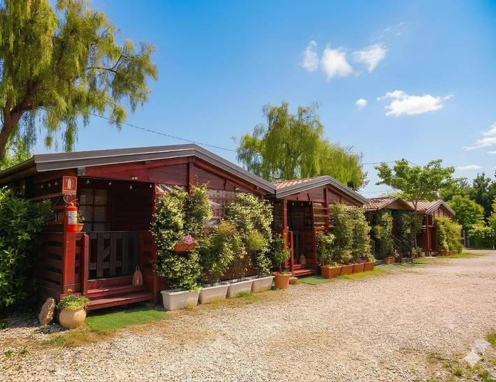 Glamping per 4 persone, con Giardino in Cilento