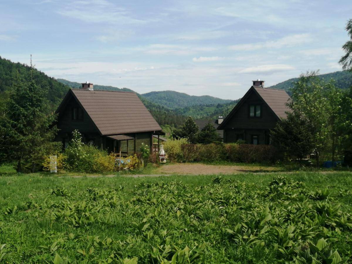 Krzywe Pole in Bieszczady