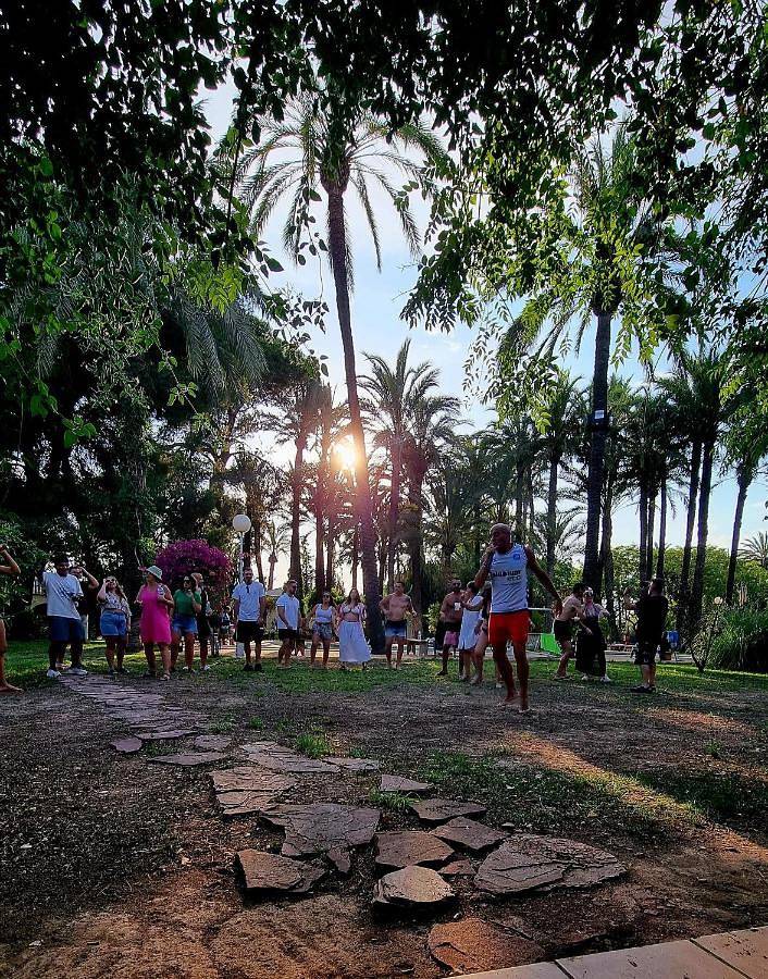 Chambre d’hôte pour 3 personnes, avec vue et jardin ainsi que piscine et terrasse à Elche - 4