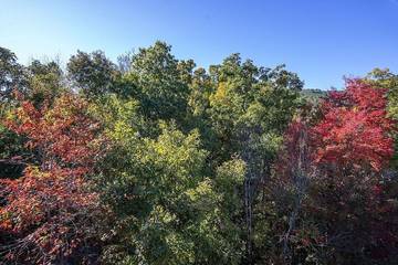 Cottage for 12 Guests in Pigeon Forge, Sevier County, Picture 2