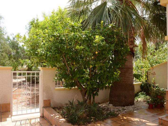 Olivos 8 in Cartagena, Costa Cálida