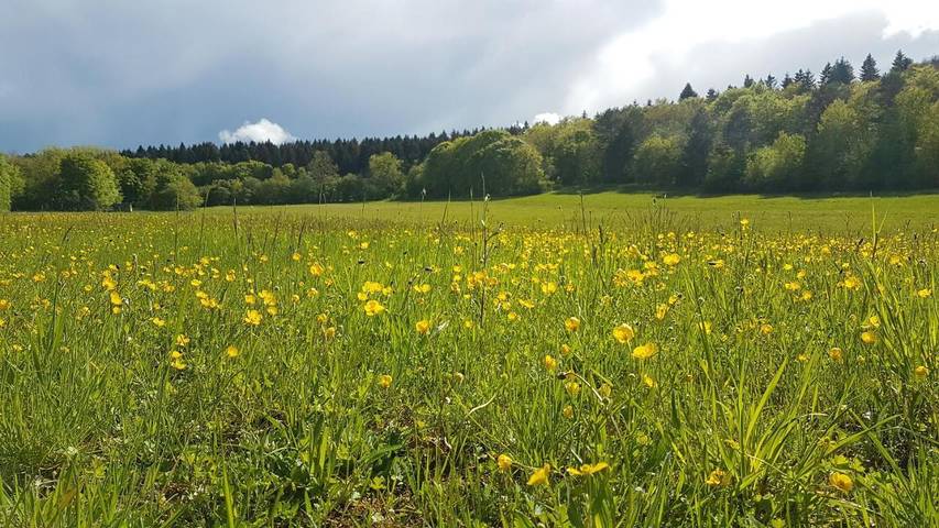 Tente pour 6 personnes dans Côte-d'Or - 2