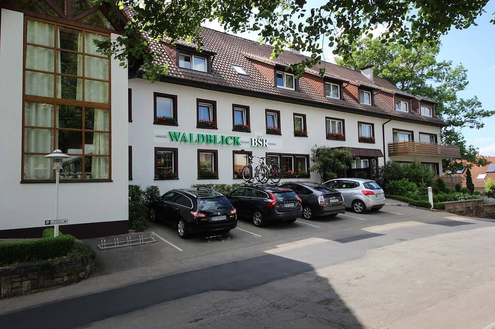 Ganze Wohnung, Doppelzimmer Kompakt, Retro ohne Balkon, 1 Doppelbett in Donaueschingen, Mittlerer Schwarzwald
