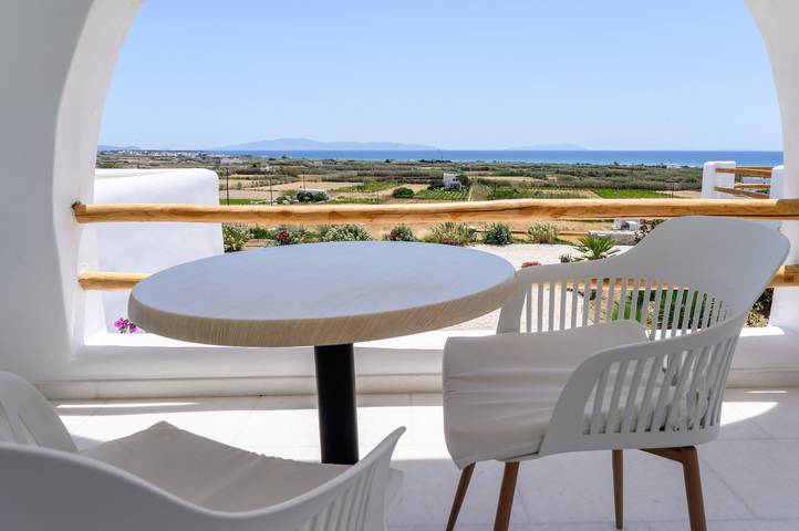 Apartamento num hotel 'Naxos Earth Junior Suite' com vista para o mar, Wi-Fi e ar condicionado in Naxos