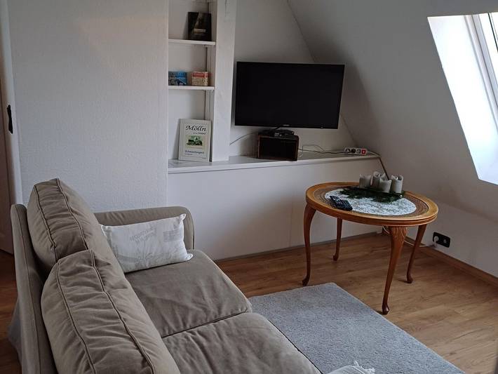 Ganze Ferienwohnung, Ferienwohnung Andreae - Appartement mit Bad/ Küchenzeile in Mölln, Kreis Herzogtum Lauenburg
