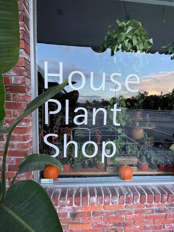 Private Luxury King Guest House - 4 min from Uf stadium in Gainesville, Alachua County