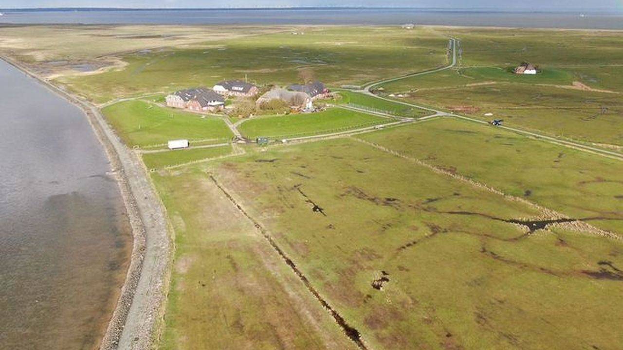 Ganze Ferienwohnung, Ferienwohnung für 3 Personen (55 m²) in Langeneß in Langeneß, Halligen