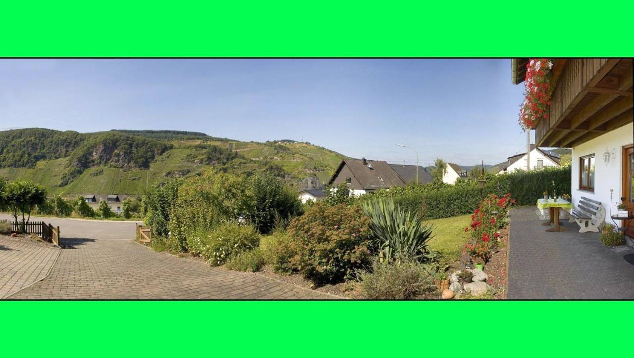 Ganze Wohnung, Studio Apartment in Burg (Mosel), Bernkastel-Kues & Umgebung