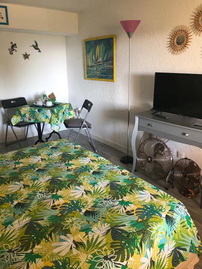 Double Room with Garden View in Nice, Côte méditerranéenne (France)