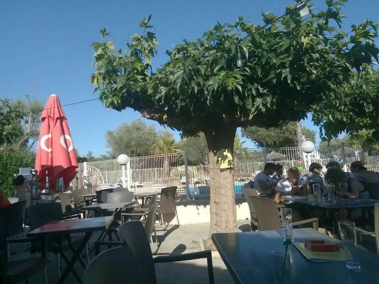 Camping 3 étoiles - ccbfgcf in Collias, Nimes region