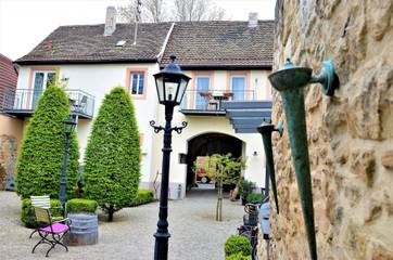 Ferienwohnung für 3 Personen in Neustadt an der Weinstraße, Pfälzer Rheinebene, Bild 2