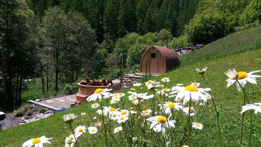 Location de vacances pour 3 personnes, avec jardin ainsi que vue et sauna à Comune di Saint-Rhémy-en-Bosses - 3