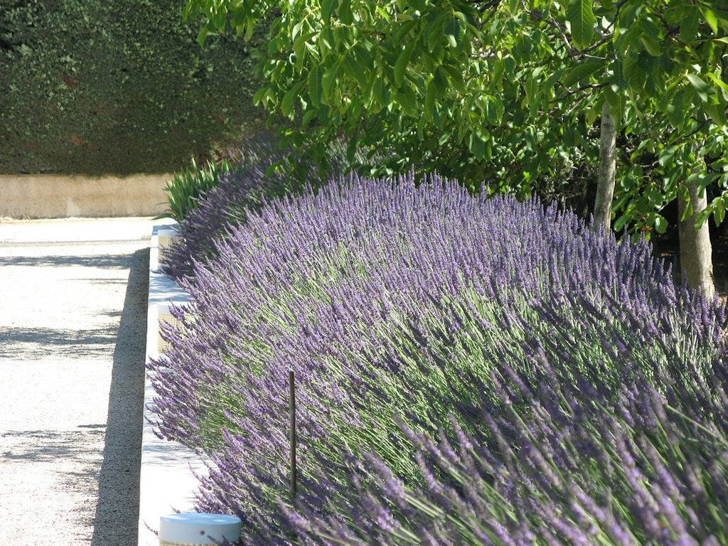 Les Lavandines 1 et 2 du Luberon - Chambre 2 in Robion, Parc naturel régional du Luberon