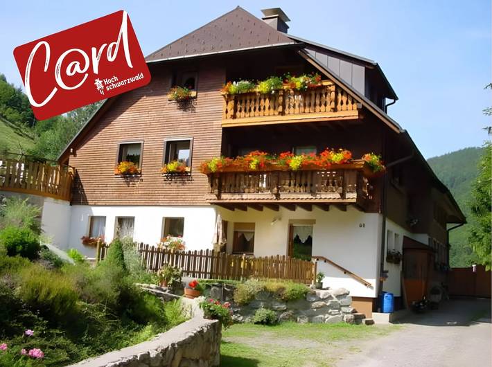 Geheel appartement, Vakantiewoning 'Maria' met bergzicht, privéterras en wifi in Brandenberg (Todtnau), Todtnau