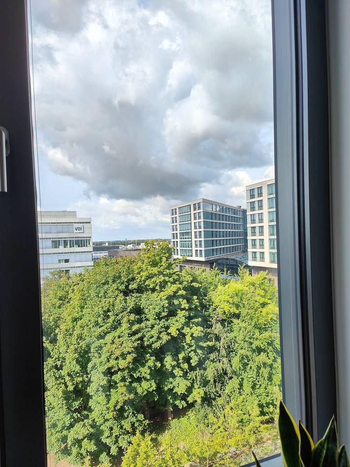 Holiday apartment for 10 people, with garden in Madrid