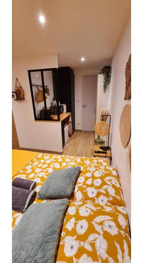 Junior Suite with Terrace in Charleville-Mézières, Ardennes