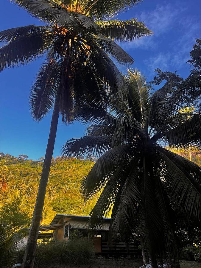 Location de vacances pour 4 personnes, avec terrasse, animaux acceptés dans Atuona - 4