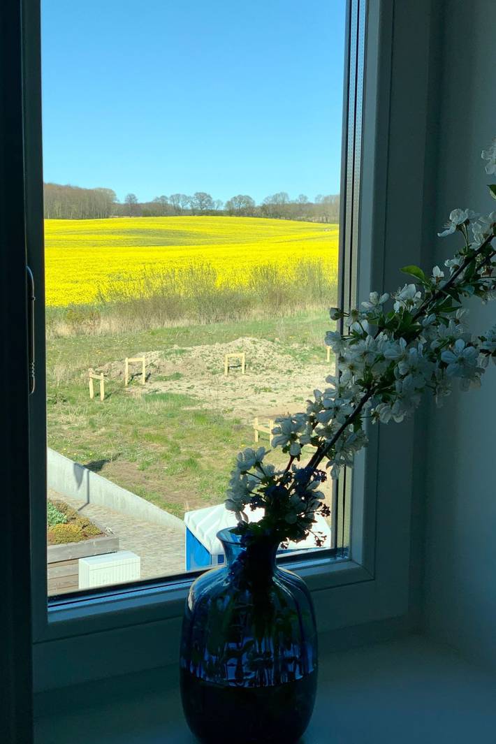 Ferienhaus für 8 Personen, mit Garten in Kalkhorst - 2