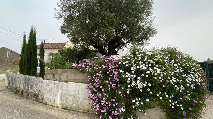 Location de vacances pour 3 personnes, avec piscine ainsi que jardin et vue dans Torres Novas - 2