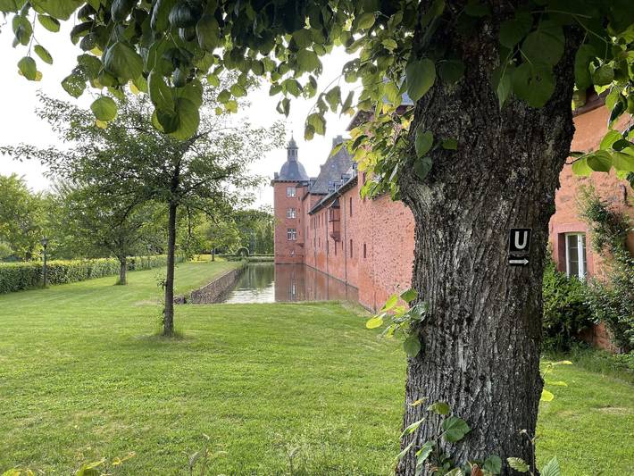 Ferienwohnung für 2 Personen, mit Garten und Sauna im Sauerland - 4