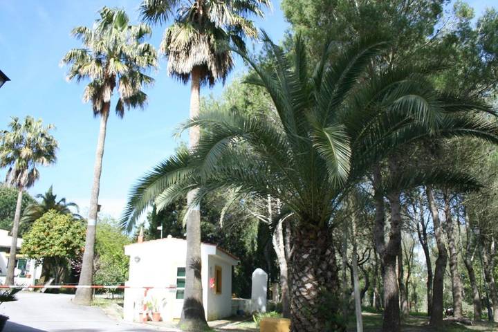 Bungalow für 10 Personen, mit Pool in Andalusien - 3