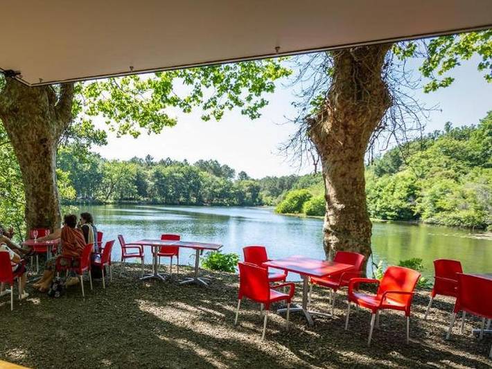 Camping L'Etang d'Ardy - Chalet 5 personnes - Chalet Forêt 3 Pièces 5 Personnes + TV in Saint-Paul-lès-Dax, Région de Dax