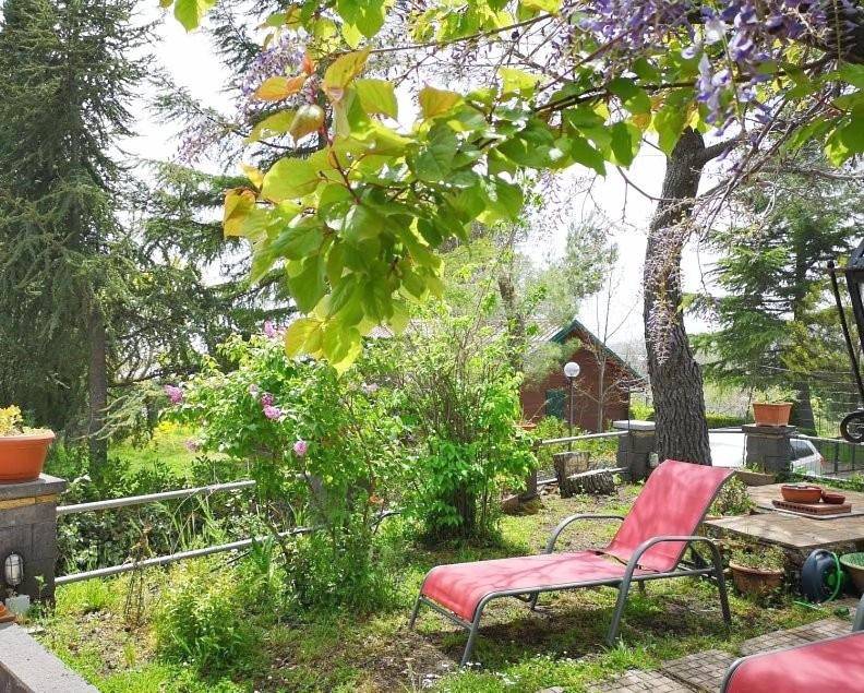 Chalet Gea in Milo, Etna