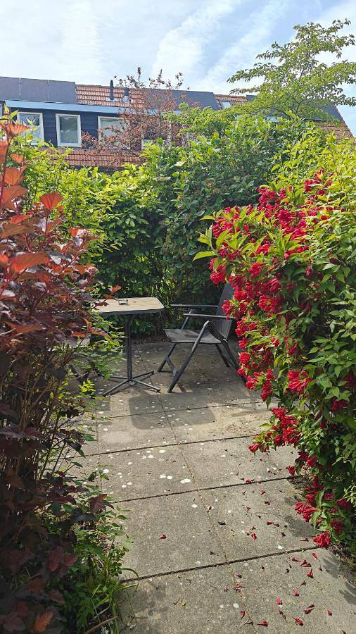 Double Room with Private Bathroom in Dombourg, Walcheren