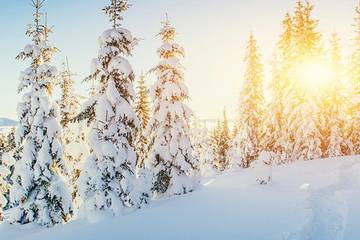 Lodge for 2 Guests in Aspen, Aspen Snowmass, Picture 1